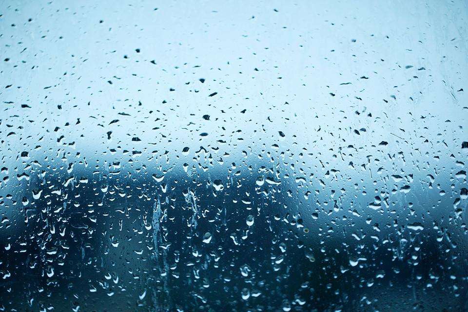 靜.夜.思 ---天堂也開花