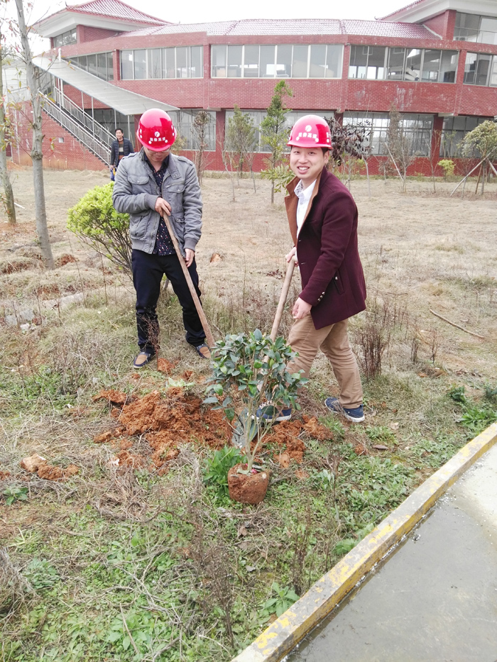 種一棵小樹，綠一方凈土